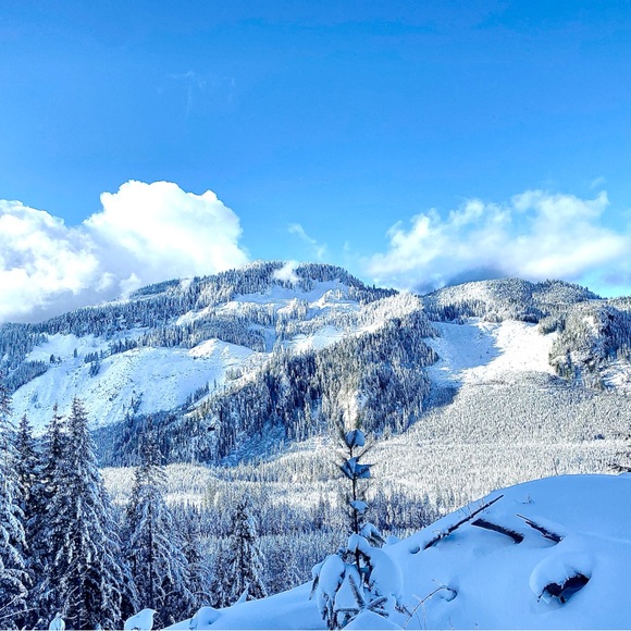 Meet your Posher, Alex-andra - Picture 6 of 12